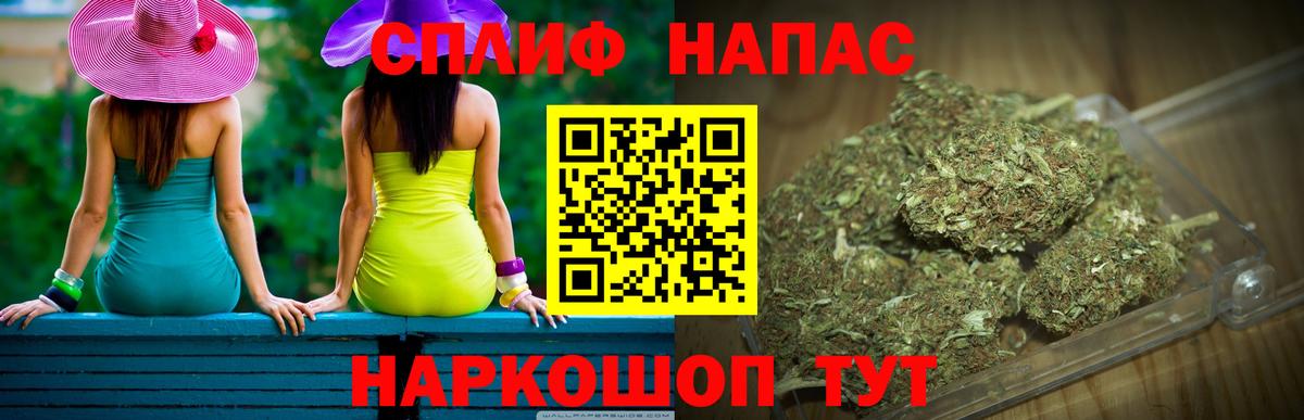 Бошки Шишки семена Губкин
